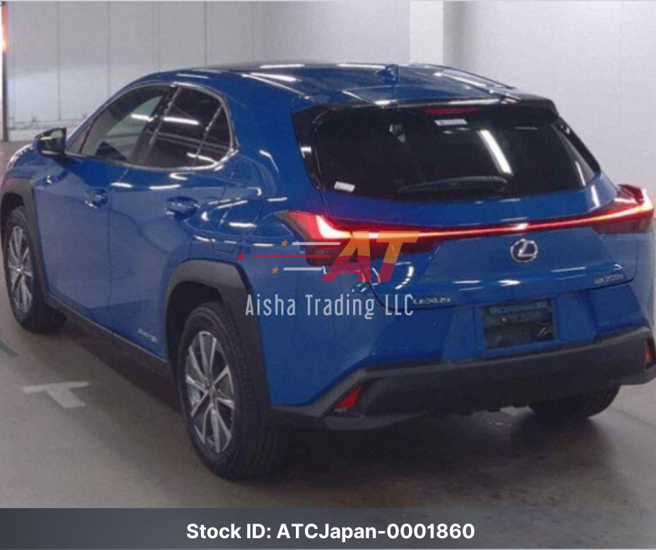 2021 Lexus UX300e